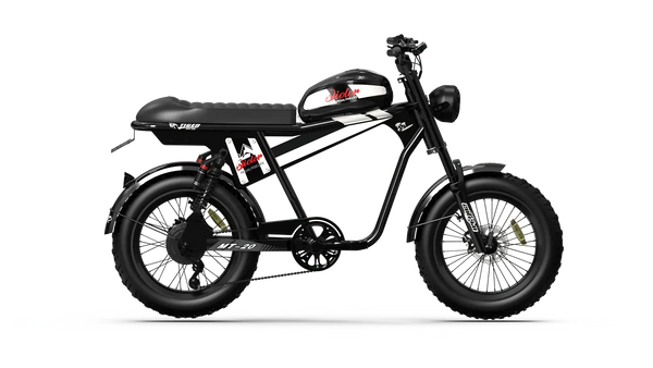 QIOLOR Tiger Plus Full Suspension Fat Tire E-Bike
