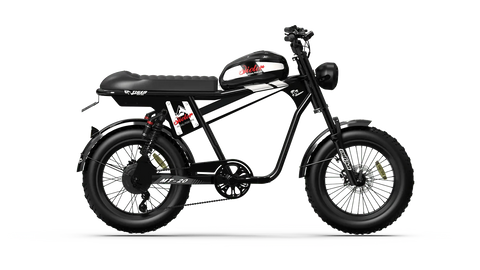 QIOLOR Tiger Plus Full Suspension Fat Tire E-Bike