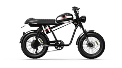 QIOLOR Tiger Plus Full Suspension Fat Tire E-Bike
